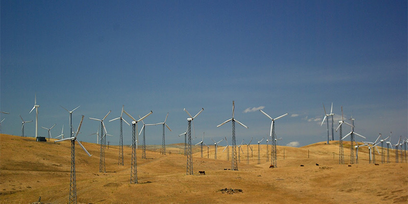 Preserving the Environment Preserving the Environment